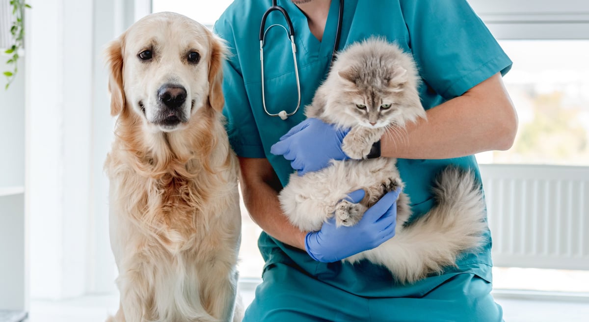 Dr. Canales y equipo - Clínica Veterinaria Canales